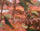 Gallery Item 12