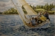 Gallery Item 7
